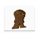 Stewbacca