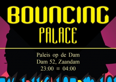 Bouncing Palace Flyer